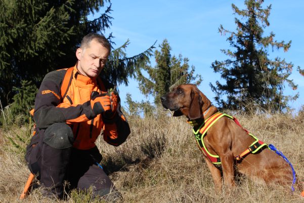 151700014 Hundefuhrgeschirr Follow Trail Gr. M rot gelb 3 scaled