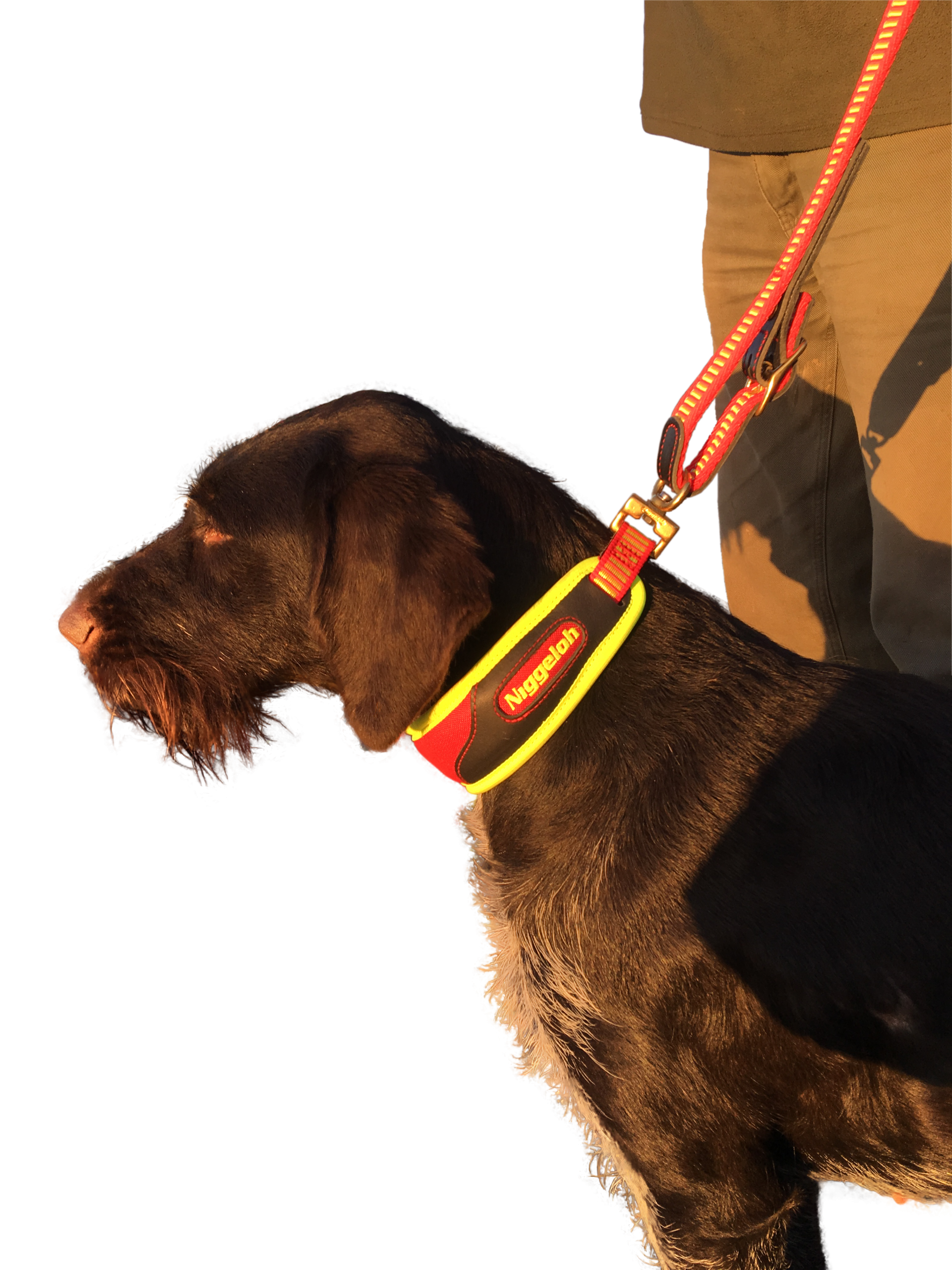 191700027 Schweisshalsung TRAIL Gr. MamHund frei scaled